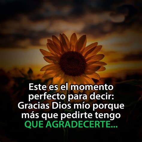 Este El Momento Perfecto Para Decir Gracias Dios Mio Frasespw