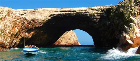 Tour Full Day En Paracas Islas Ballestas Para Escolares