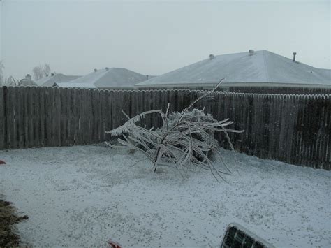 2009 ice storm in Springdale Arkansas