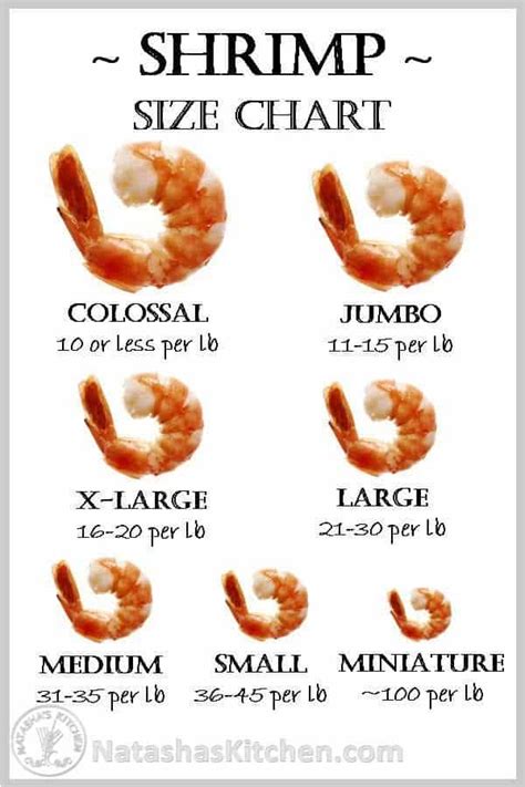 Shrimp Size Classification