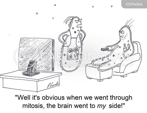 Mitosis Meiosis Funny