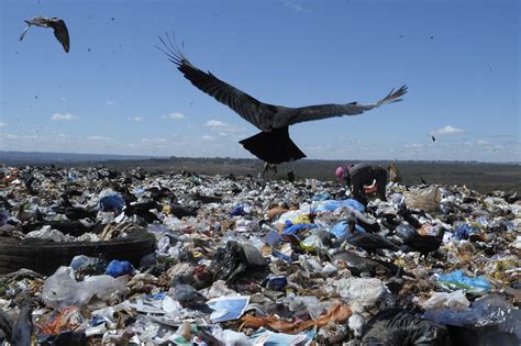 Mais De Cidades Da Para Ba Ainda Jogam Lixo Em Ambientes A C U