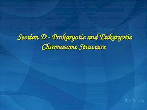 Ppt Section D Prokaryotic And Eukaryotic Chromosome Structure Dokumen Tips