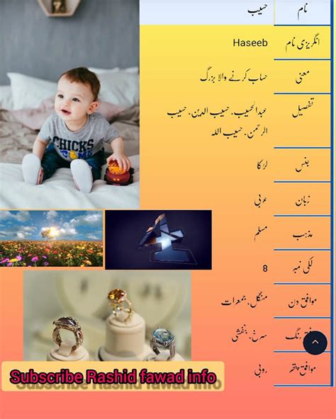 Haseeb حسیب Islamic Baby Boy Name Meaning In Urdu And Hindi Islamic