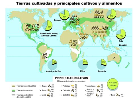 Profesor De Historia Geograf A Y Arte Sector Primario La Agricultura