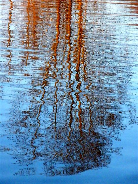 Rippling Tree Reflection Stanley Zimny Thank You For Million