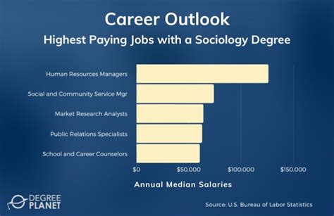 What Can You Do With A Sociology Degree 2024 Guide