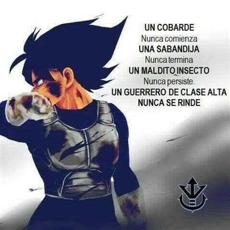 Total Imagen Reflexion Frases De Vegeta Abzlocal Mx