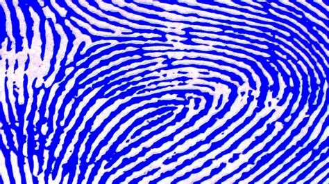 Blue Fingerprint Background Free Stock Photo Public Domain Pictures