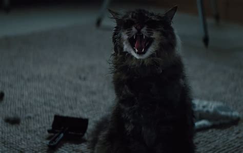 Thrilling New Trailer For Stephen Kings Pet Sematary Reveals Changes