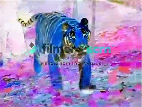 World Animals In G Major Part 1 Video Dailymotion