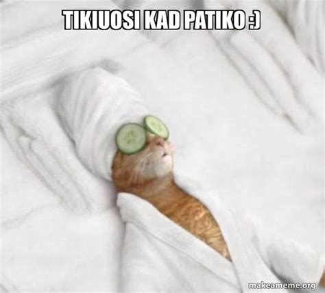 Tikiuosi Kad Patiko Pampered Cat Meme Meme Generator