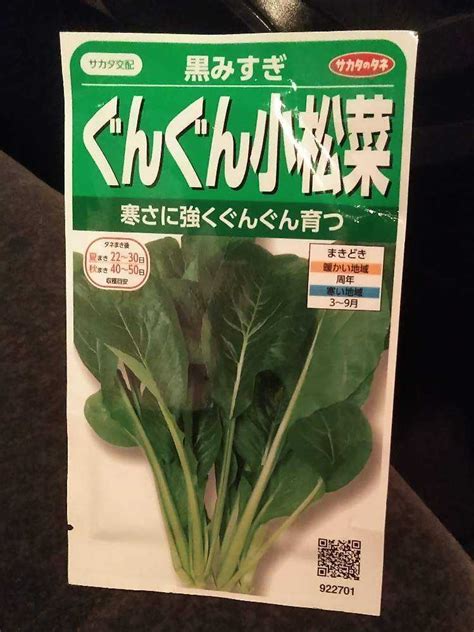 トーホク 野菜の種 種子 早どり小松菜 種 追跡可能メール便発送 全国一律370円 05352 納得できる割引