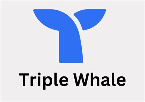 Triple Whale Review Discount