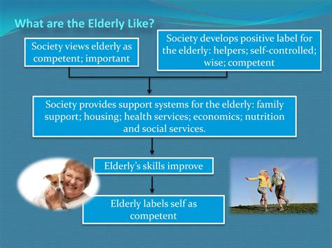 Caring for the Elderly | PPTX