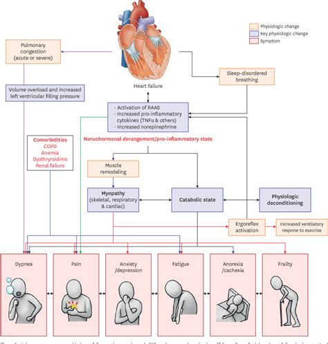 Figure 2 From End Of Life Care For End Stage Heart Failure Patients