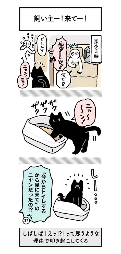 深夜に愛猫に起こされ、様子を見に行ってみると･･･ 可愛くてほっこりしちゃう猫漫画 話題の画像プラス