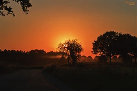 Free Images Landscape Tree Nature Horizon Silhouette Cloud Sun Sunrise Mist Field