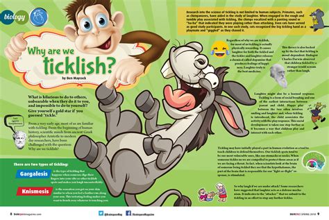 Biology Why Are We Ticklish Brainspace Magazine Interactive