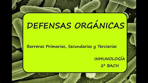 Mecanismos De Defensa Del Organismo Esquema Introductorio De Conceptos