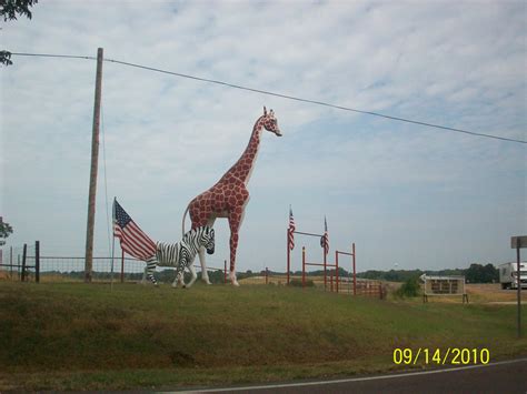 Tennessee Safari Park