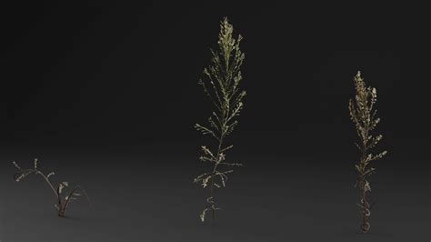 Bushy Starwort Plant - 3D Model by Green Lander