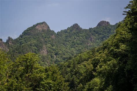Гора Трезубец, Хамышки - Кукарта.ру