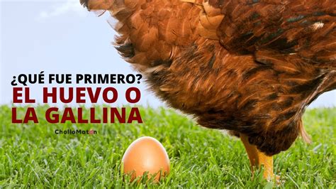 🥚 ExplicaciÓn Científica Sencilla ¿qué Fue Primero El Huevo O La