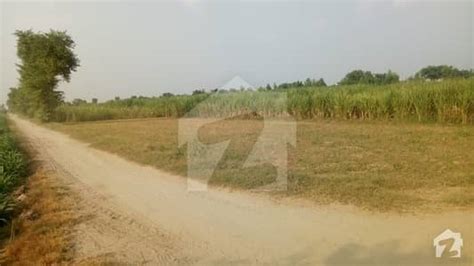 Agricultural Land And Agriculture Plots For Sale In Layyah Zameen