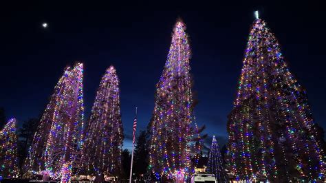 Tree Lighting Ceremony – Idyllwild