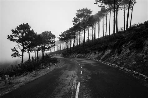 Black and White View of Road · Free Stock Photo