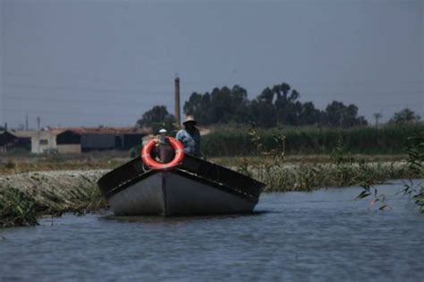 Parque Natural De La Albufera Expl Yate Magazine Novedades Y