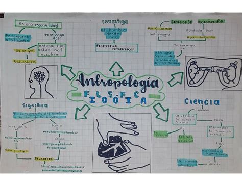 Descortés Perplejo capa ramas de la filosofia antropologia filosofica