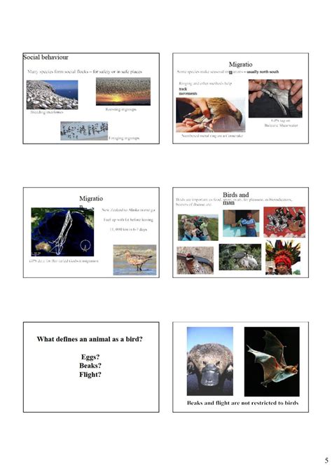 Zoology Notes | LEC.142 - Zoology - Lancaster | Thinkswap