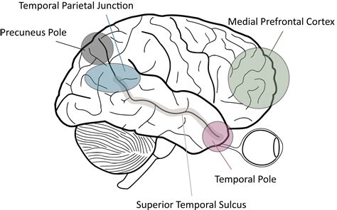 內隱的心智理論證據 SR Research 錫昌科技股份有限公司 人體研究