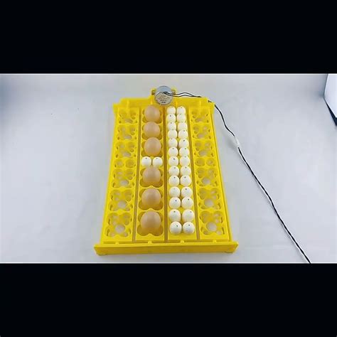 220V 24 32 Egg Incubator Turner Tray With 4W Synchronous Motor