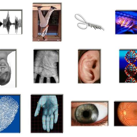 PDF Reconnaissance Biométrique par Fusion Multimodale du Visage et de