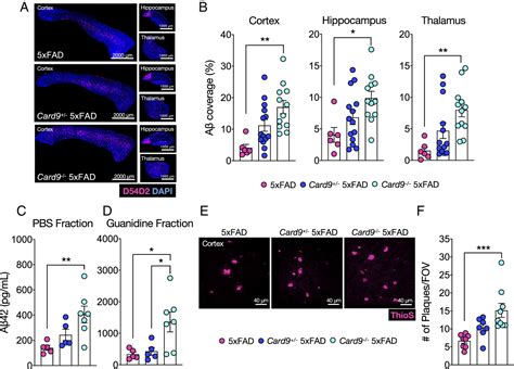 Card Attenuates A Pathology And Modifies Microglial Responses In An