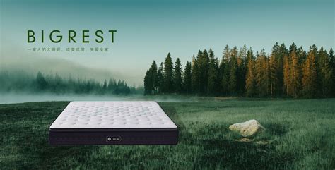 门店导航_服务中心_席梦思中国