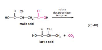 The enzyme malate decarboxylase, which catalyzes the reactio | Quizlet