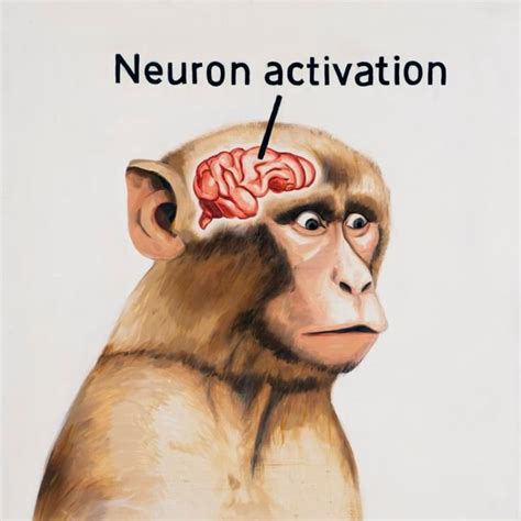 Neuron activation - iFunny Brazil