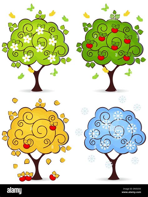 Tree Four Seasons Stock Vector Image And Art Alamy