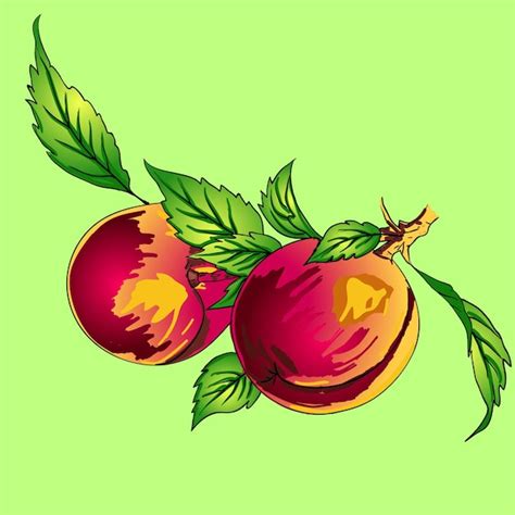 Premium Vector Two Peaches With Leaves On A Branch On A Light Background