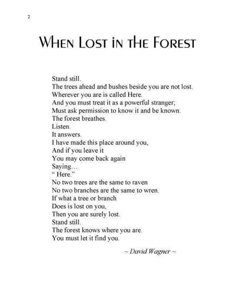 Can T See The Forest Through The Trees You Re Doing It Wrong Forest