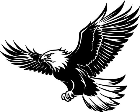 Eagle, Black and White illustration 42885946 Vector Art at Vecteezy