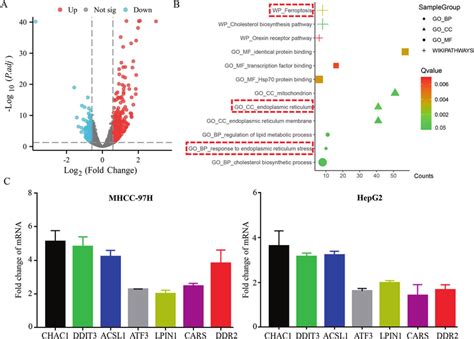 Rna Seq Revealed That Ferroptosis Related Genes And Pathway Were Download Scientific Diagram