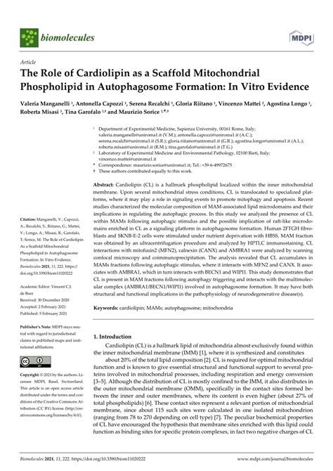 Pdf The Role Of Cardiolipin As A Scaffold Mitochondrial Phospholipid