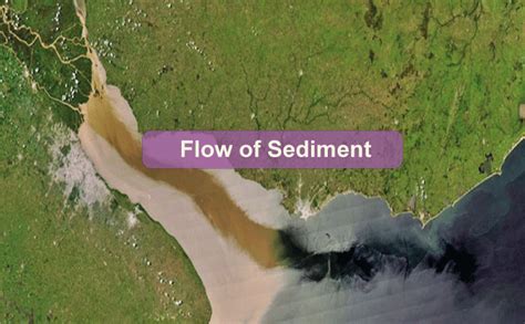 Sediment Definition Javatpoint