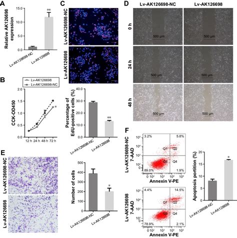 Lncrna AK126698 Inhibits A549 Cell Proliferation And Migration And