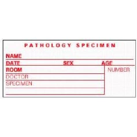 Write On Label Timemed Specimen Pathology Label Pathology Specimen Name Date Sex Age Room